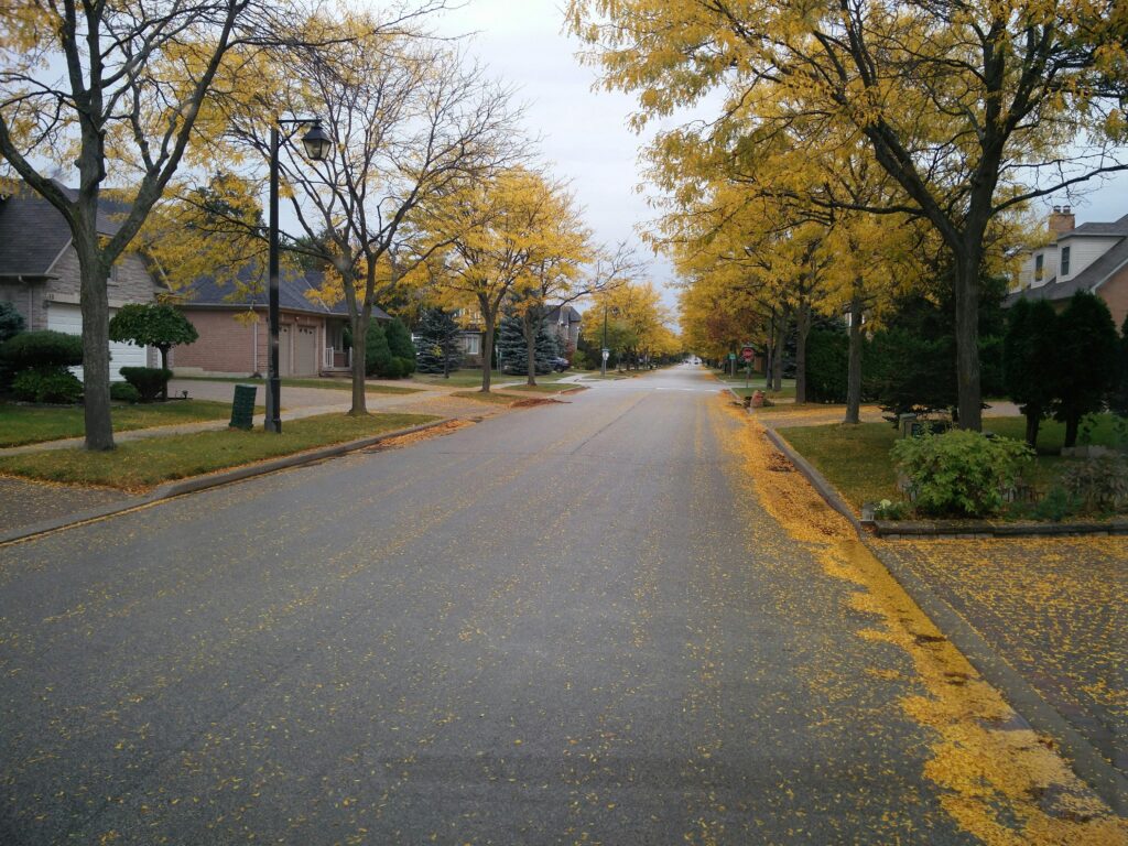 The High Cost of Winter Prep: Why October Is the Smart Time to Sell for Cash October in New Jersey brings crisp mornings, colorful foliage, and the first signs of colder weather ahead. But for many homeowners, it also brings something else: the stress of preparing for winter. From high heating bills to looming repairs, October can be a turning point where you start asking yourself, “Is keeping this house worth it?” At Cash Buyer New Jersey, we’ve helped countless homeowners sell their properties quickly and stress-free, especially in the fall when seasonal costs and upkeep start adding up. Here’s why October might be the right time to make a fresh start with a fast cash sale.